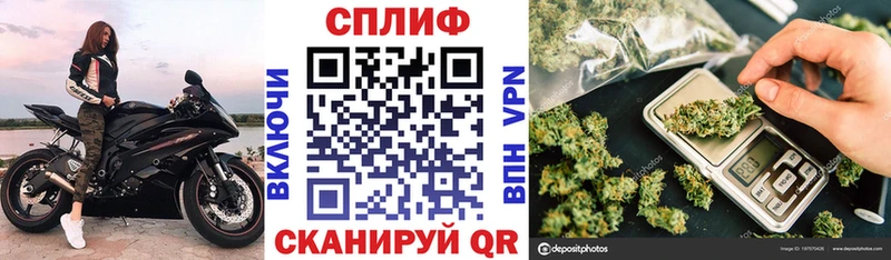 кракен как войти  магазин продажи наркотиков  Назрань  Конопля планчик 